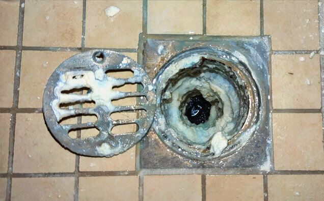 https://blockeddrainswangara.com.au/uploads/2025/07/blocked-shower-drains-33151.jpg