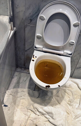 https://blockeddrainswangara.com.au/uploads/2025/07/blocked-toilet-27793.jpg