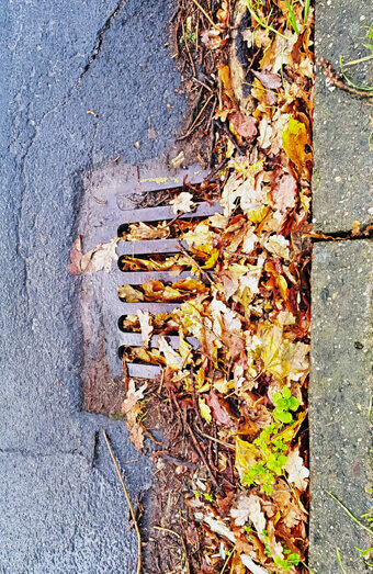 https://blockeddrainswangara.com.au/uploads/2025/07/stormwater-drains-48051.jpg